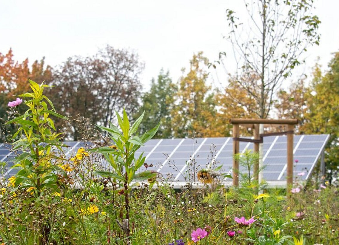 Solaranlage Campus Freudenberg